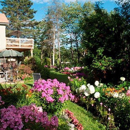 Gite Au Pied Du Courant De Gilbert Desjardins Mont-Laurier Exteriör bild