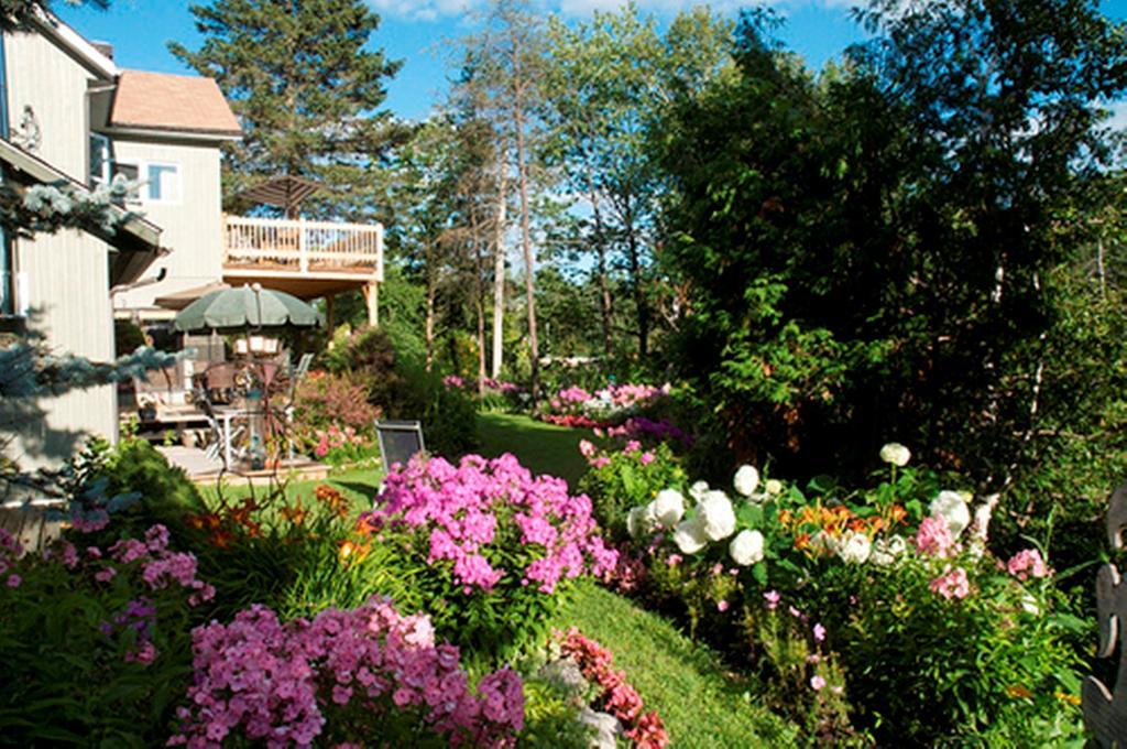 Gite Au Pied Du Courant De Gilbert Desjardins Mont-Laurier Exteriör bild