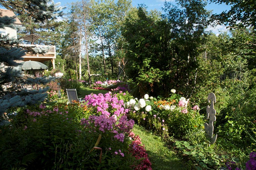 Gite Au Pied Du Courant De Gilbert Desjardins Mont-Laurier Exteriör bild